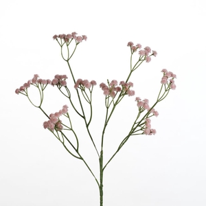 AF Gypsophila spray L62cm l.pi