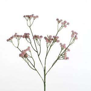 AF Gypsophila spray L62cm l.pi