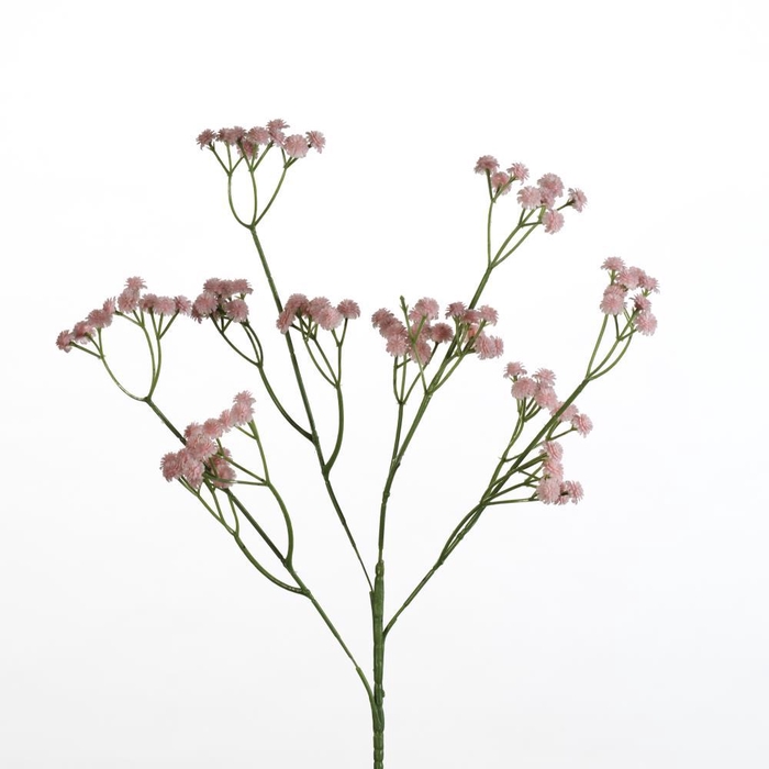 AF Gypsophila spray L62cm l.pi