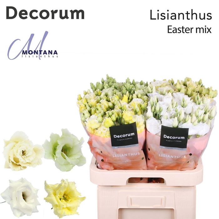 <h4>Eus G Easter Mix</h4>