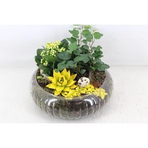 arr2 MB - Glas rond chique - geel