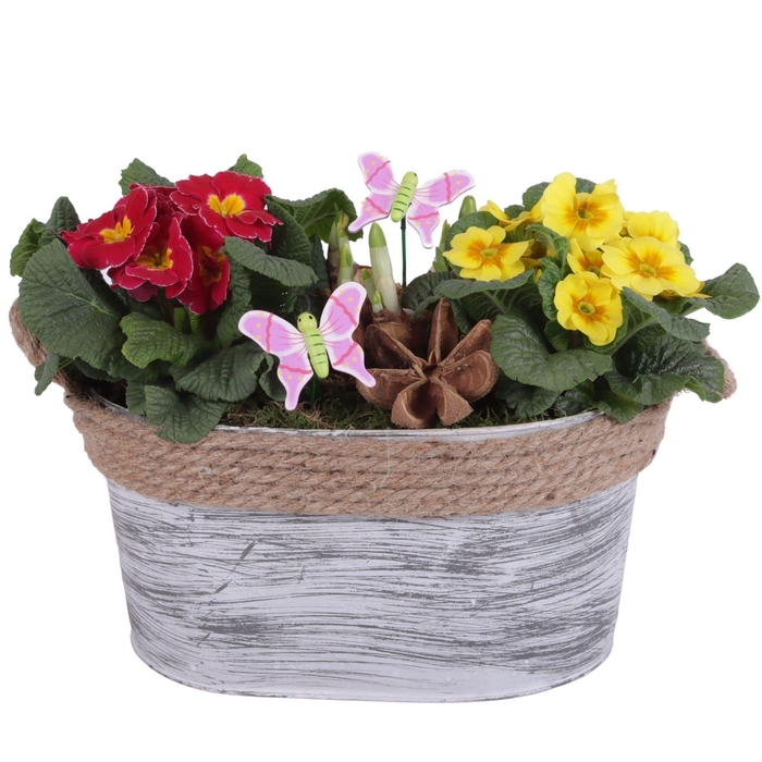 <h4>Arr.   Tuinplanten L%</h4>