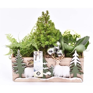 Hout rechthoek met decor 24x10cm