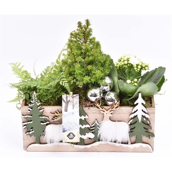 <h4>Hout rechthoek met decor 24x10cm</h4>