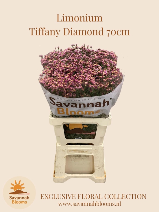 <h4>LIM SIN TIFFANY DIAM</h4>