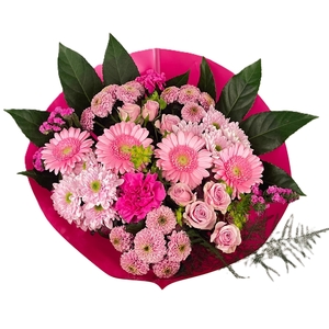 Bq Barbapapa pink L