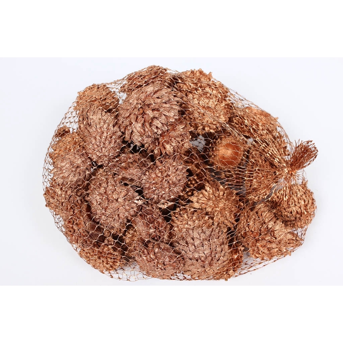 <h4>Acorn Cones 500gr in net Copper</h4>