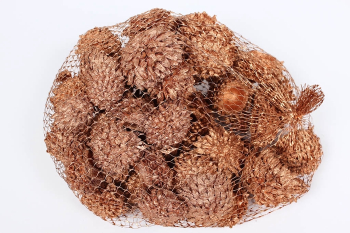 Acorn Cones 500gr in net Copper