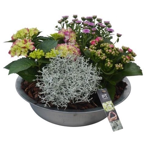 PTSO6018 Arrangement Summer Outdoor in metalen schaal