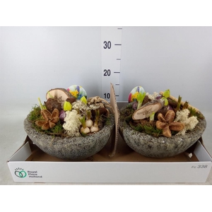 Arr.   Bol/Knolgewas L%