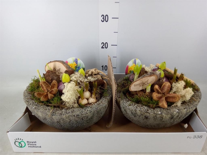 <h4>Arr. Bol/Knolgewas L%</h4>