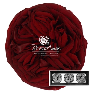 Kabukyza Per 3 Red01