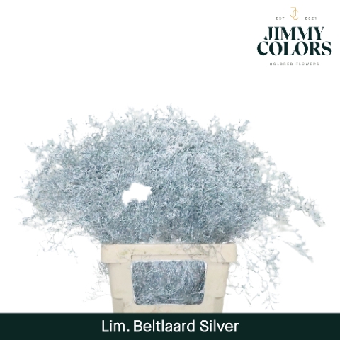 <h4>Lim Bel L70 Metallic silver</h4>