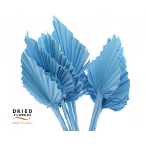 Dried Palm Spear Small Pastel Blue