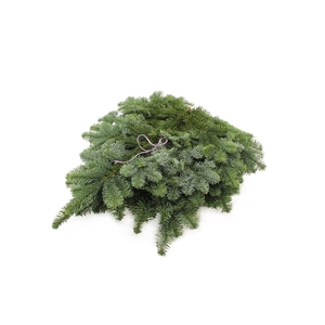 Nobilis