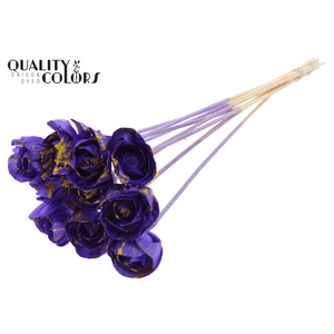 Shola Dear Holly 6cm on stem Splashed Purple/Yellow