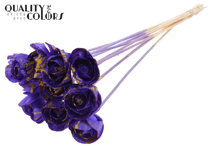 Shola Dear Holly 6cm on stem Splashed Purple/Yellow