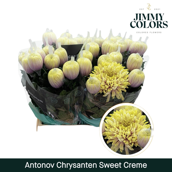 <h4>Chr G Antonov Sweet creme</h4>