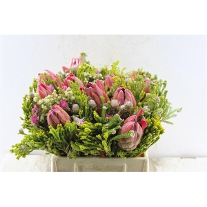 Protea Boeket 3 Protea