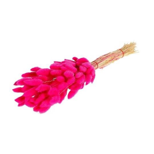 <h4>Dried flowers Lagurus 55cm</h4>