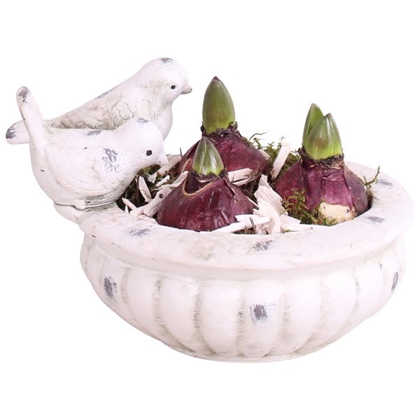 Bulbs Arr. Hyacint Ceramic Bird Bath Ø23cm