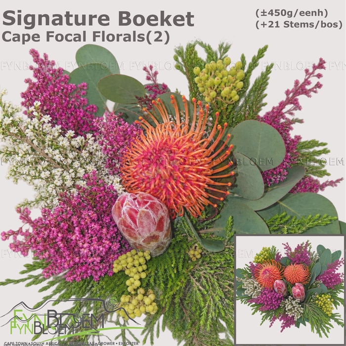 <h4>PROTEA PER BOS</h4>