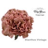 DI ST VINTAGE