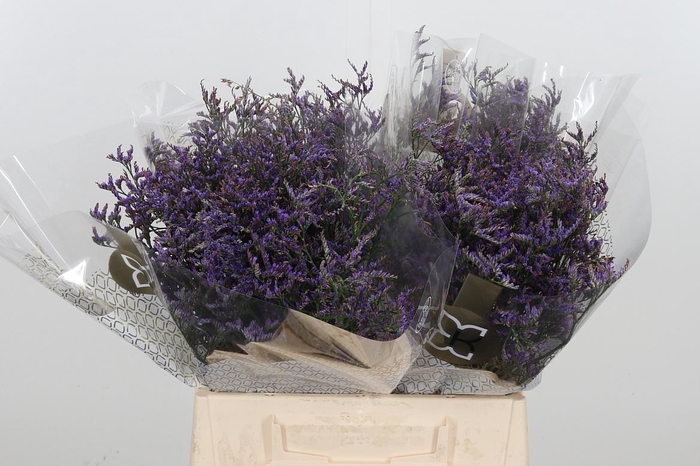 <h4>Lim Saf Dark Blue 40 05</h4>