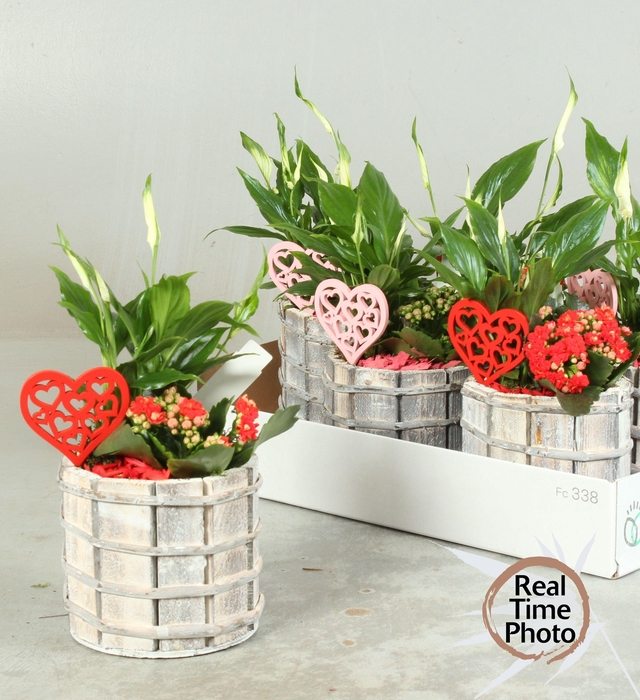 <h4>ARR KAMERPL</h4>