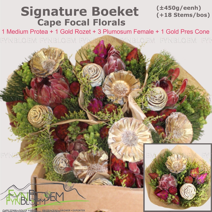 <h4>PROTEA PER BOS</h4>