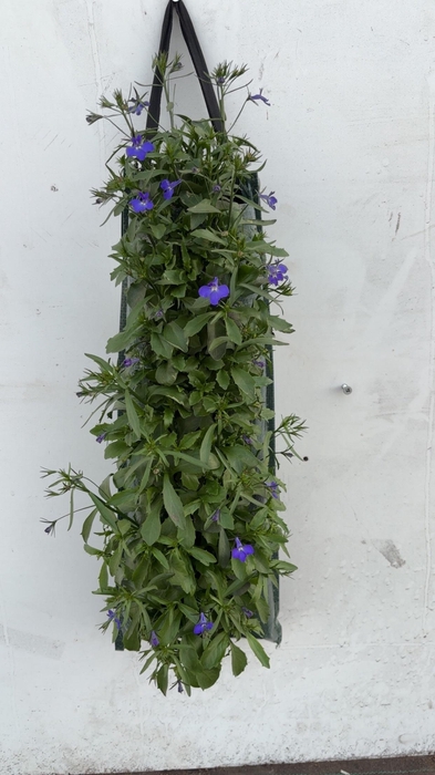 <h4>OVERIGE PERKPL</h4>