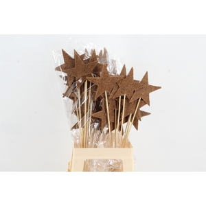 Stick Star Mulch 11cm