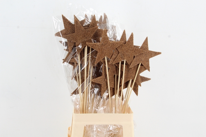 <h4>Stick Star Mulch 11cm</h4>