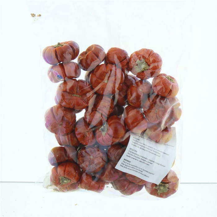 <h4>Dried Solanum Naturel In Bag 250gr</h4>