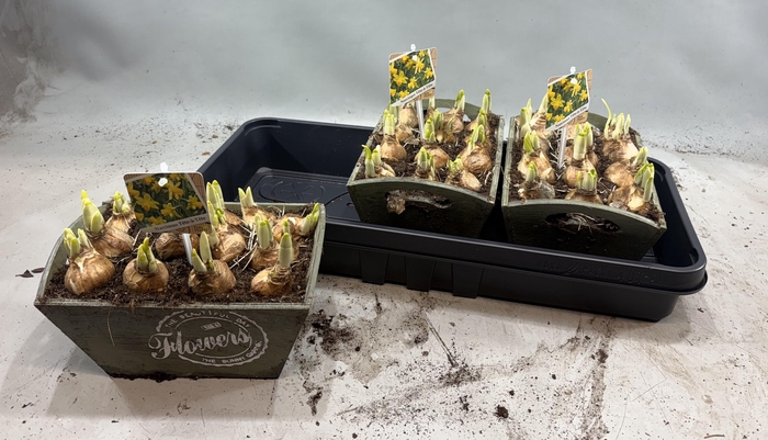 <h4>ARR N TETE A TETE</h4>