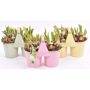 Zink duopot kl. mix 21x10cm