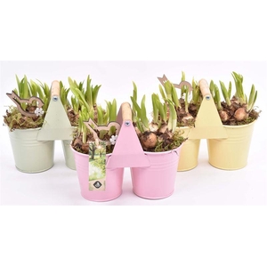 Zink duopot kl. mix 21x10cm