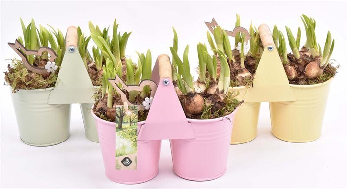 <h4>Zink duopot kl. mix 21x10cm</h4>