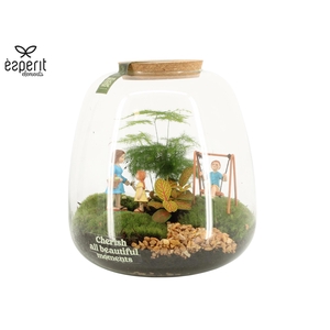90983: Little Green Moments Terrarium