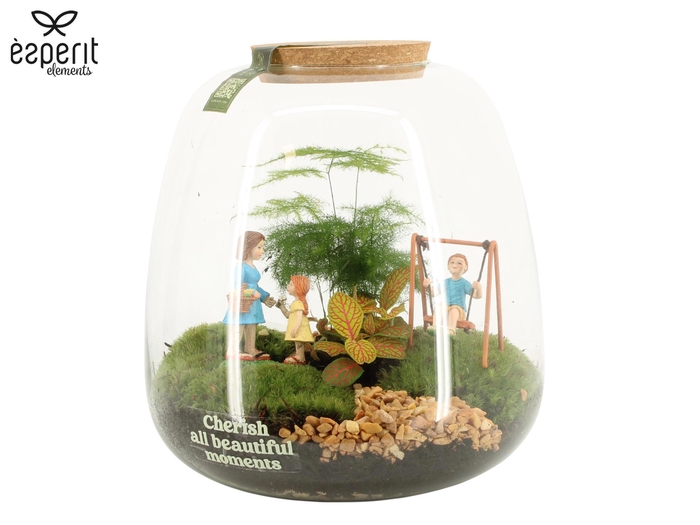 <h4>90983: Little Green Moments Terrarium</h4>