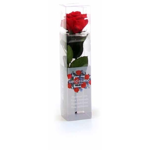 Roos op steel mini 27,5cm Red