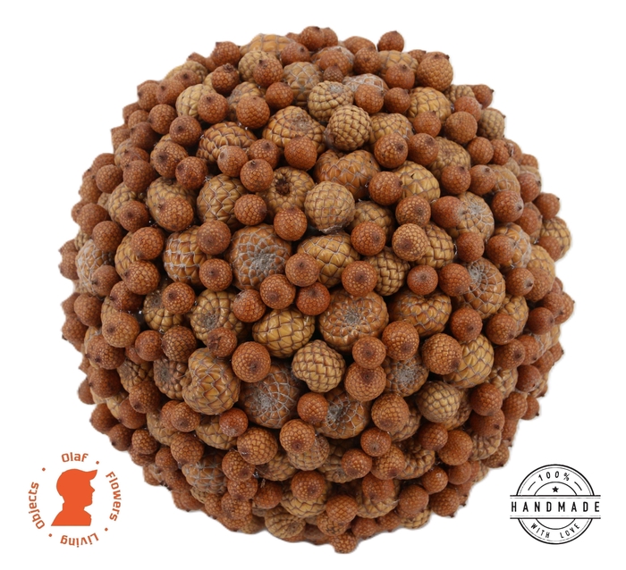 <h4>HUIS EN TUINDECO H%</h4>