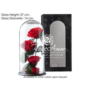 Dome Valentina Red02 Bulk