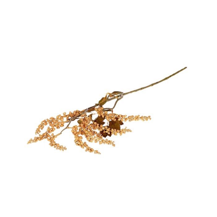 <h4>Branch Berry Jungle L72</h4>