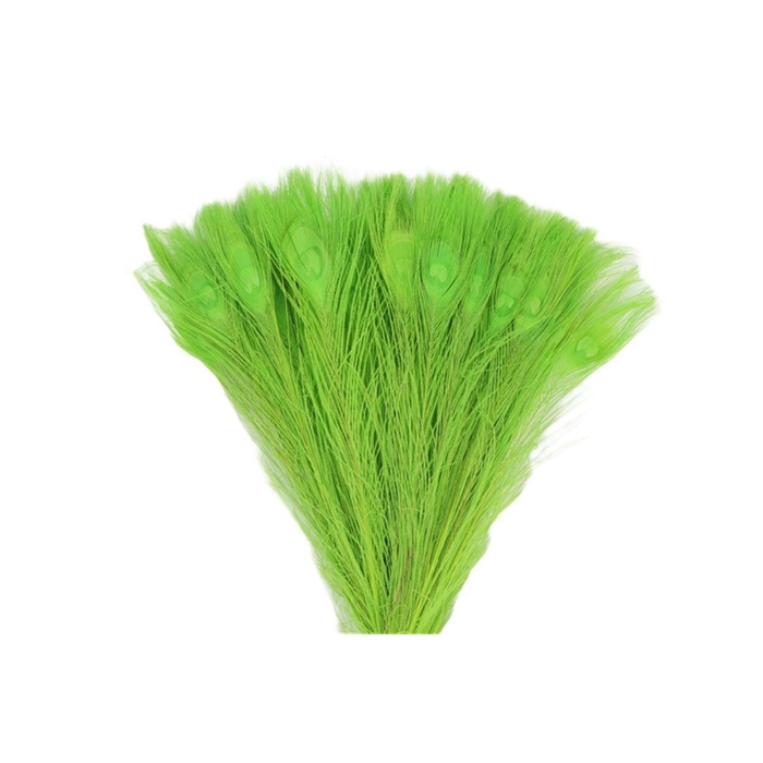 <h4>Feather Peacock Appelgreen L45-50</h4>