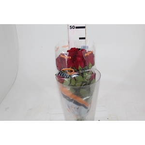 ROSA RED ALERT(R) 040 CM ESTUFA