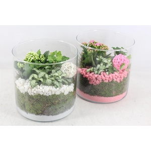 arr2 PL - Glas cilin. breed 285/5 - roze/wit