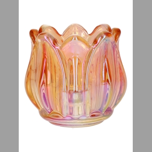 DF02-666824400 - T-lighthldr Elora d6.7/7xh6.7 peach+pearl
