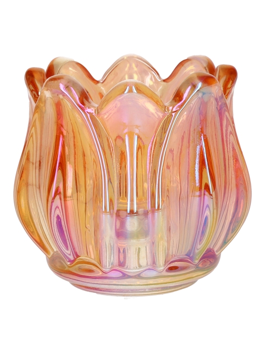 <h4>DF02-666824400 - T-lighthldr Elora d6.7/7xh6.7 peach+pearl</h4>