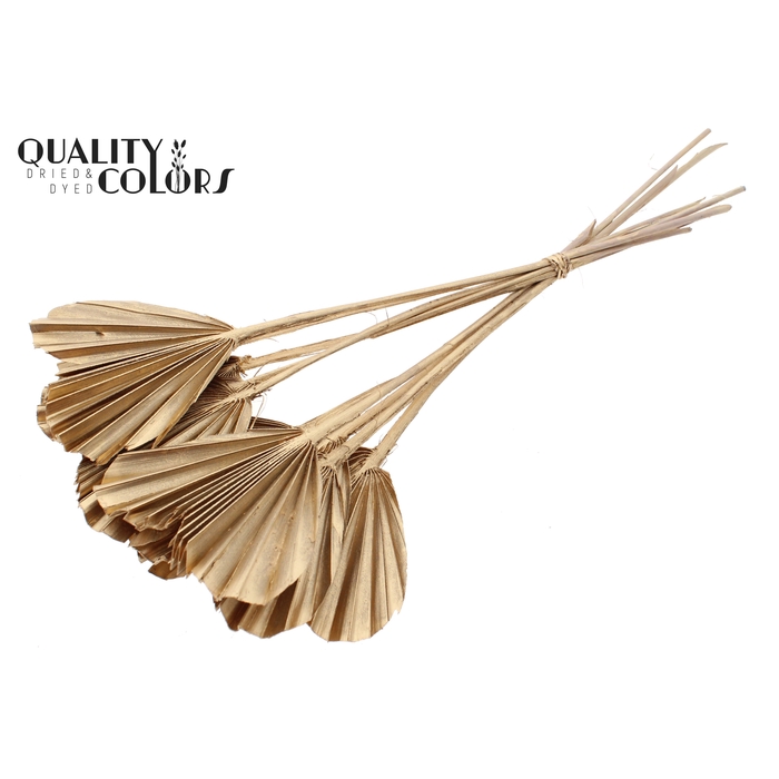 <h4>Palm Spear Heart per stem Antique Gold</h4>